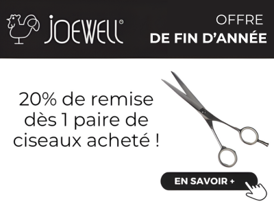 JOEWELL FIN D'ANNEE