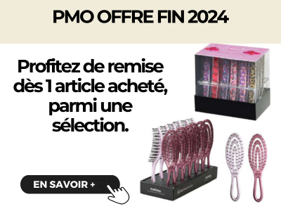 PMO OFFRE FIN 2024