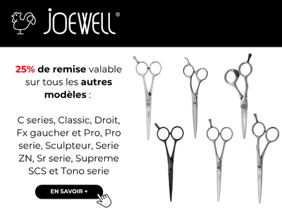 JOEWELL 25