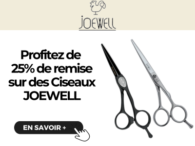 JOEWELL OFFRE FIN 2024