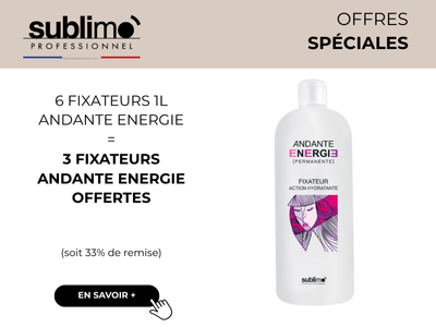 SPT fixateur andante 6+3