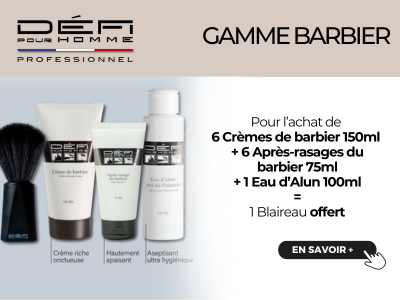 DPH OFFRE BLAIREAU